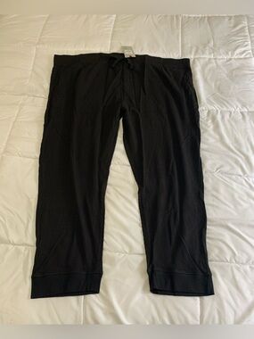 New BRITCHES Pants Size4X